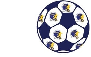 Championnat jeunes masculins (U15 et U18)