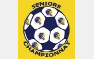 Composition des groupes seniors