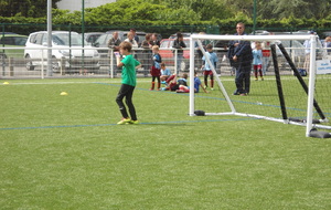 5559ff538cc17_025.JPG