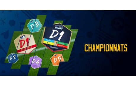 Composition des groupes seniors D2 et D3